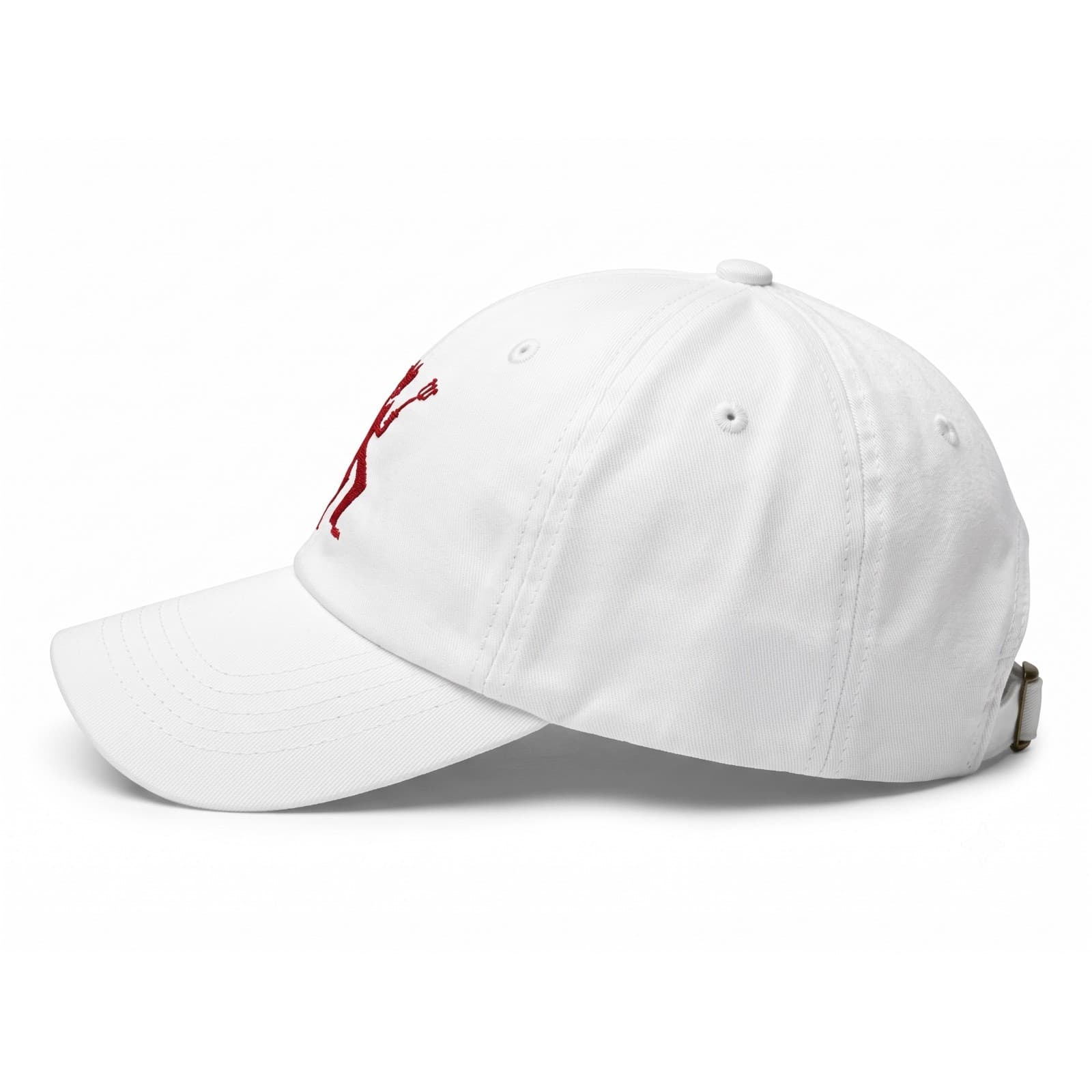 Superman Shield Cap image 2